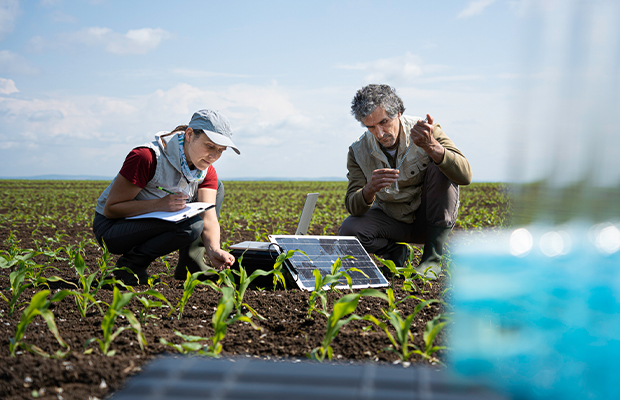 innovation-agricole