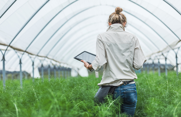 femme-serre-agriculture-innovation