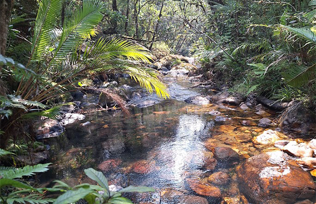ruisseau-nature-iaroka-madagascar