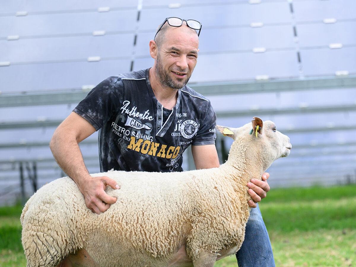 agrivoltaisme-photosol-emmanuel